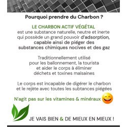 CHARBON DE BOIS ACTIF