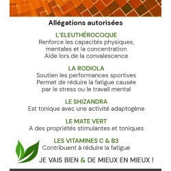 ENERGIE GLOBALE