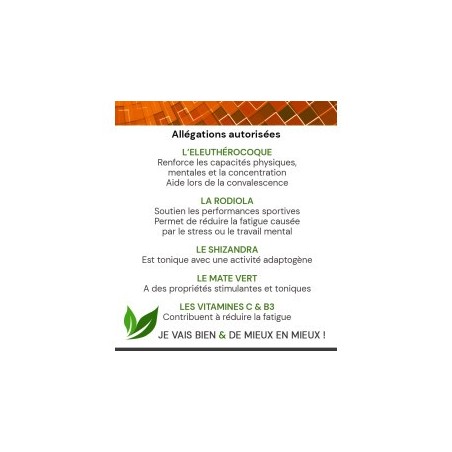 ENERGIE GLOBALE