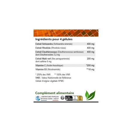ENERGIE GLOBALE