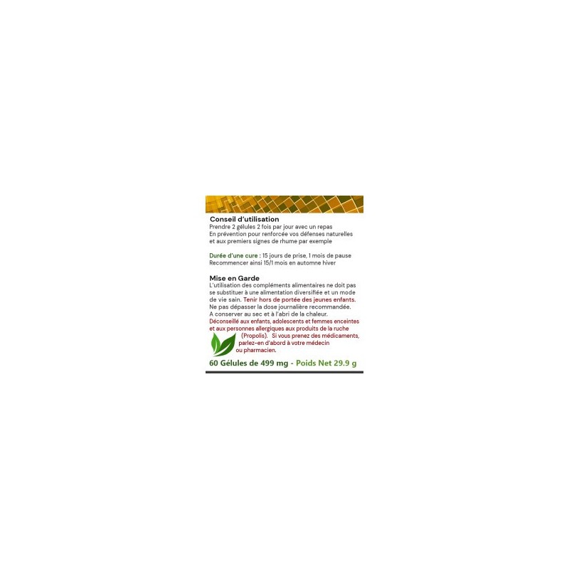IMMUNITE RENFORCEE