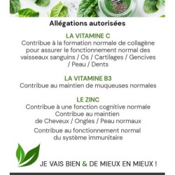GREEN ANGEL UNIDOSES