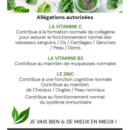 GREEN ANGEL UNIDOSES