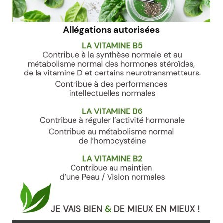 GREEN ANGEL UNIDOSES