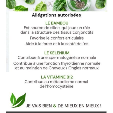GREEN ANGEL UNIDOSES