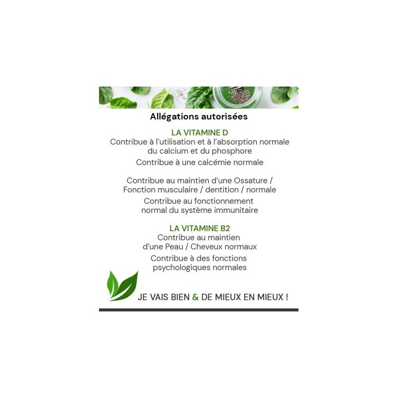 GREEN ANGEL UNIDOSES