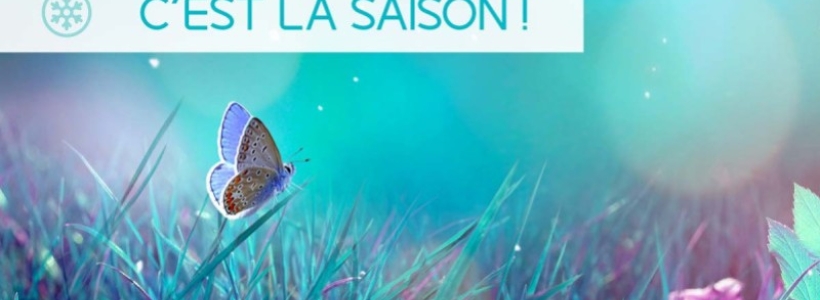 C'EST LA SAISON