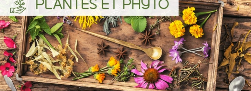 Plus d'Infos Produits
