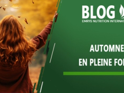 Automne en forme ! 